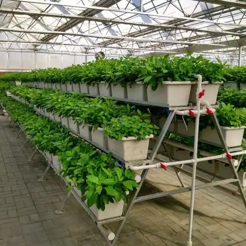 咸宁市植物工厂玻璃温室 - 价格